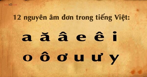 Đối với tiếng Việt sẽ có các nguyên âm khác với tiếng Anh