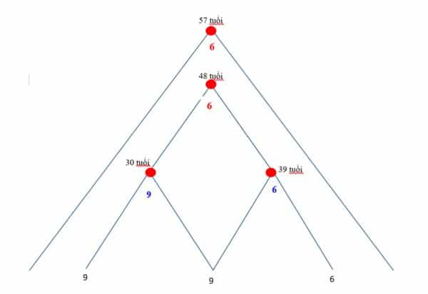 Tìm hiểu về kim tự tháp thần số học