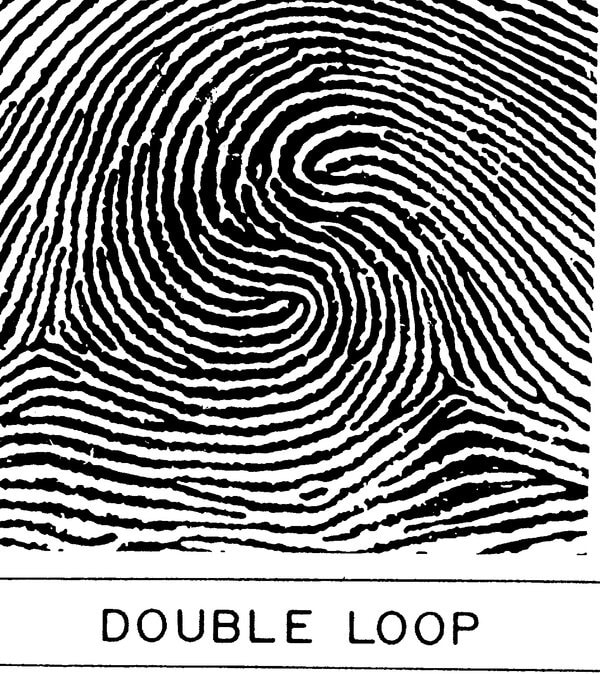 Chủng vân tay Whorl Double Loop