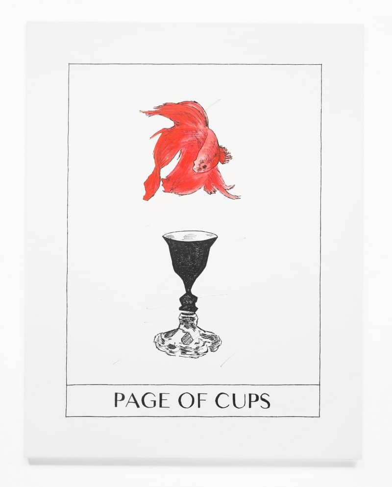 Hình ảnh lá bài page of cups