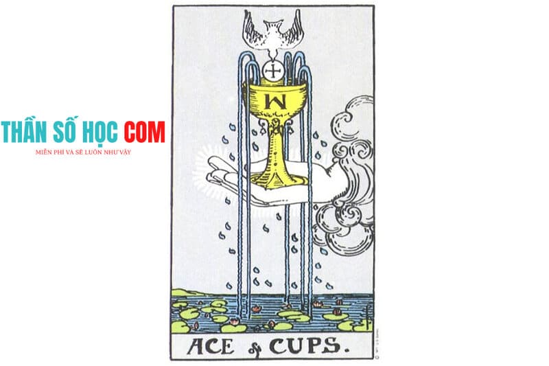  Lá bài Ace of Cups dạy bạn cách sống, dạy bạn cách để được nhiều người yêu thích 