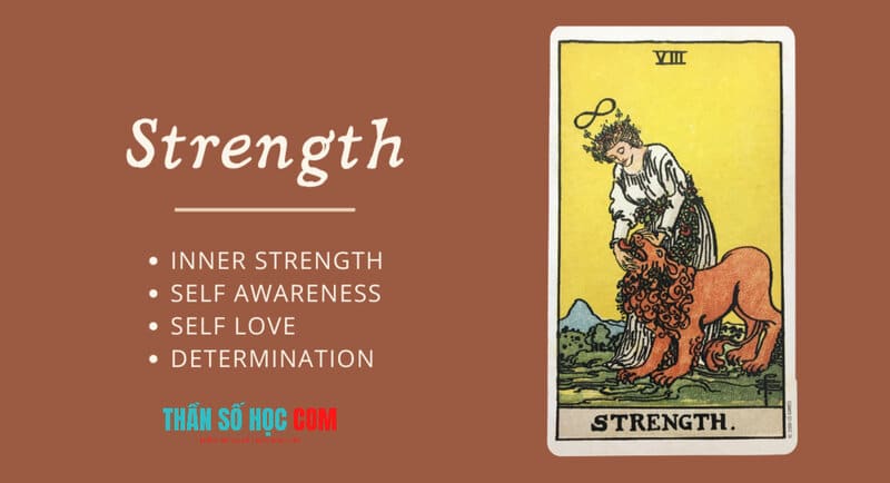 Lá bài Strength tarot cho bạn biết lòng trắc ẩn, tập trung cũng như thuyết phục
