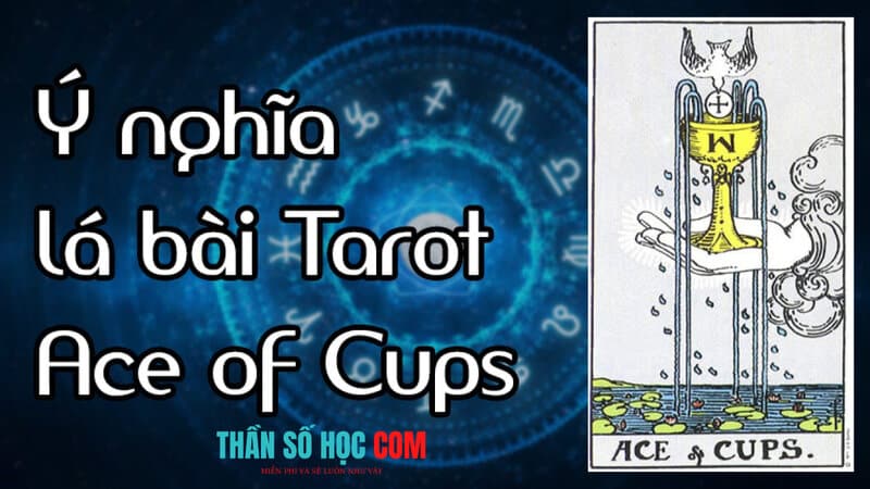 Lá bài Ace of Cups trong bói bài tarot là một trong số ít lá bài chứa tràn tình yêu thương