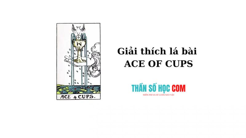 Lá bài Ace of Cups xứng đáng là một trong những lá bài cực kỳ hiếm về tình cảm