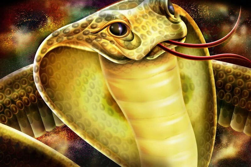 Bà bầu mơ thấy rắn có nghĩa là gì?