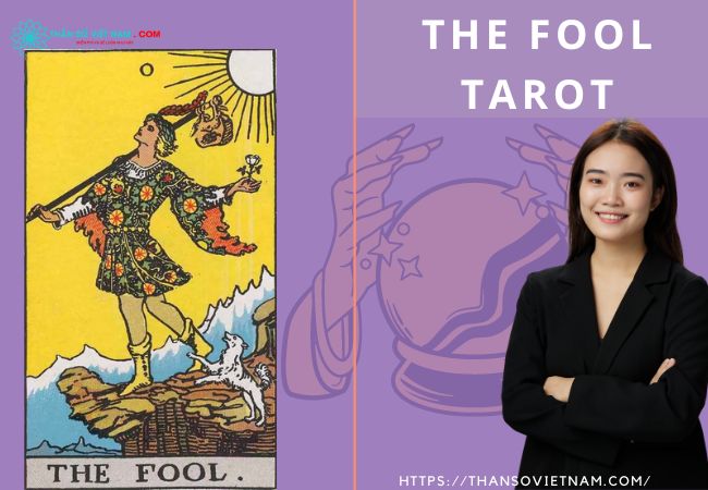 Giải Mã Chi Tiết Ý Nghĩa Lá Bài The Fool Trong Bộ Bài Tarot
