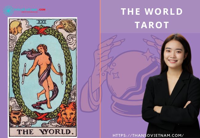 The World Tarot có ý nghĩa gì?