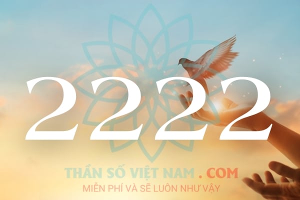 Số thiên thần 2222 nói lên sự hài hòa, cân bằng và hy vọng về tương lai tươi sáng