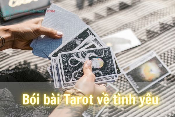 Bói bài Tarot tình yêu giúp bạn hiểu hơn về các vấn đề trong các mối quan hệ của bạn